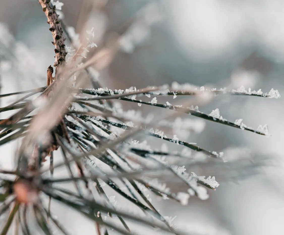 Luxury Apartment Interior