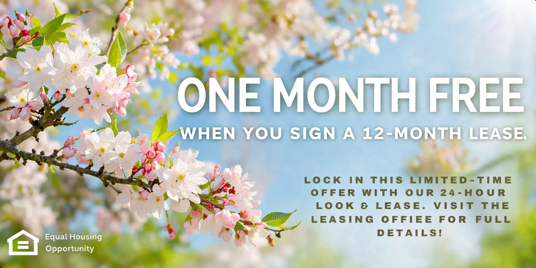 Luxury Apartment Interior